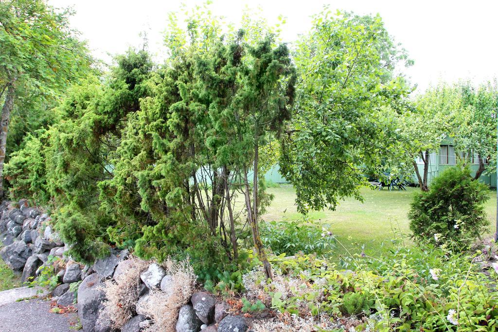 Kraavi Guest Hostel Kuressaare Exterior photo